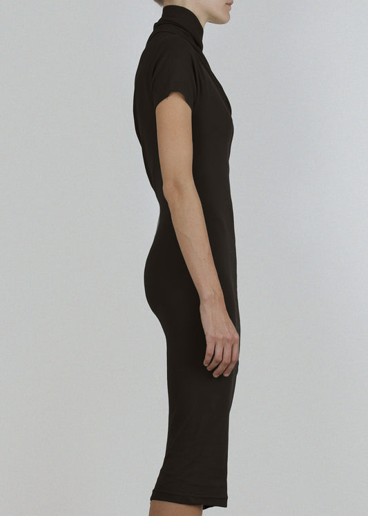 CO_001_11 penn dress arsenic